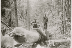 Cadillac-Lumber-Peeling-Bark-Off-Cut-Trees