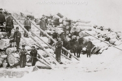 Cadillac-Lumber-Piling-Logs