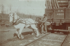 Cadillac-Lumber-White-Horse-Near-Railroad-Car