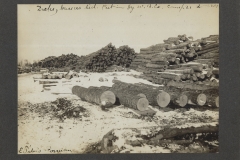 Cadillac-Lumber-Williams-Brothers-Company-Camp-Near-Harrietta-Log-Deck-at-Gassers-Siding-Cut-And-Hauled-By-Williams-Brothers-Company-Camp-21-Feb-28-1907