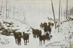 Cadillac-Lumber-Winter-Scene-At-Cadillac