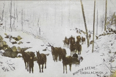 Cadillac-Lumber-Winter-Scene-Cadillac-Michigan