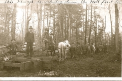 Cadillac-Lumber-Wood-plow-to-prepare-for-timber-transport