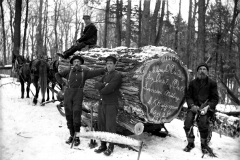 Mesick-Lumber-Huge-Log