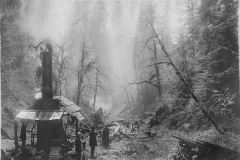 Wexford-County-Lumber-Timber-Harvest-Circa-1890s-11