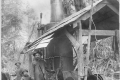 Wexford-County-Lumber-Timber-Harvest-Circa-1890s-12