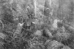 Wexford-County-Lumber-Timber-Harvest-Circa-1890s-13