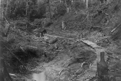 Wexford-County-Lumber-Timber-Harvest-Circa-1890s-14