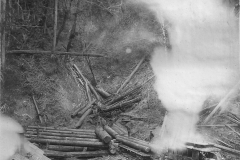 Wexford-County-Lumber-Timber-Harvest-Circa-1890s-16