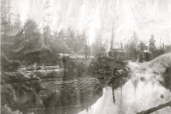 Wexford-County-Lumber-Timber-Harvest-Circa-1890s-22