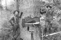 Wexford-County-Lumber-Timber-Harvest-Circa-1890s-9