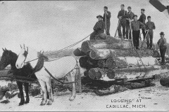 Logging near Cadillac