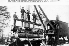 Loading Logs for Rail Shipment
