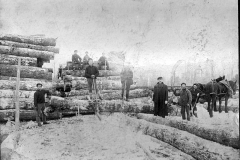Harrietta Area Timber Harvesting