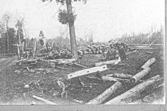 Harrietta Camp Number 17