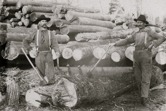 Harrietta Timber Men