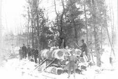 Harrietta Area Timber Harvest