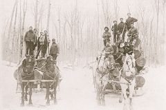 Harrietta Area Timber Harvest