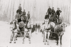 Harrietta Timber Men