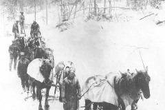 Harrietta Timber Men