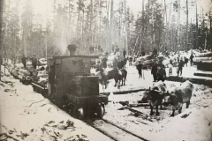 Cadillac-Lumber-1882-January-along-Cummer-Lumber-Cmpany-narrow-gauge-line-6-running-from-Lake-Cadillac-north-to-west-of-Haring