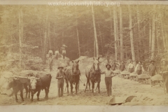 Cadillac-Lumber-Clearing-A-Path-Possibly-For-Narrow-Gauge-Railway