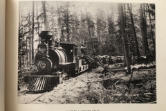 Cadillac-Lumber-Cummer-Workers-Loading-A-Logging-Train-circa-1891