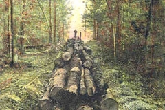 Transporting Logs