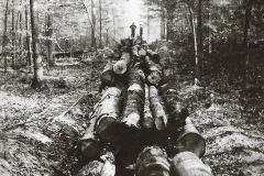 Transporting Logs