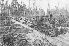 Shay Locomotive Log Train