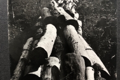 Cadillac-Lumber-Trainload-Of-Logs-From-Cobbs-And-Mitchell-Operations-c
