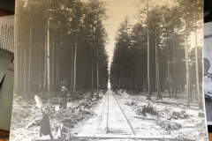 Rails through a Thick Forest