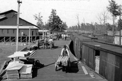 Cadillac-Lumber-loading-lg