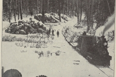 Cadillac-Railroad-Cobbs-And-Mitchells-Logging-Train