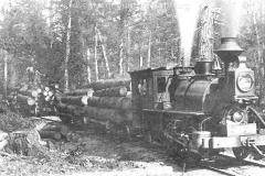 Cummer Lumber Company - Porter c. 1885