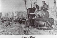 Shay Locomotive Transporting Logs