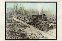 Shay Locomotive Log Train