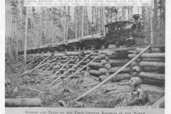 Cadillac-Railroad-Railroad-Bridge
