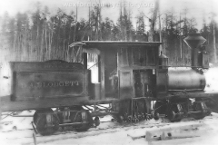 Cadillac-Railroad-Shay-on-the-clam-river-rail-road-between-Lake-City-and-Cadillac