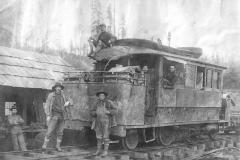 Wexford-County-Lumber-Timber-Harvest-Circa-1890s-20