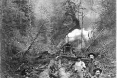 Wexford-County-Lumber-Timber-Harvest-Circa-1890s-5