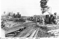 Rollway on the Manistee River