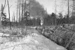 Shay Locomotive Transporting Logs