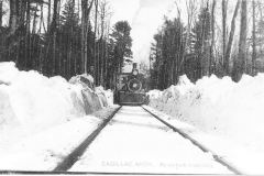 Shay locomotive in the Forest