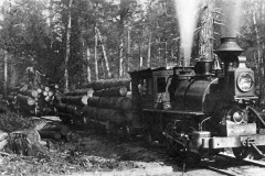 Timber Harvest Locomotive