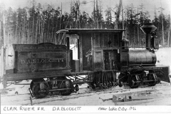 Shay on the Clam River Railway