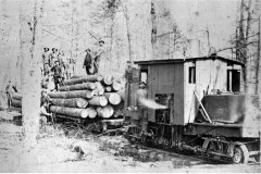 Logs Removed from the Forest
