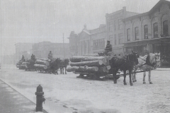 Logs on Mitchell Street