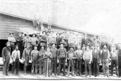 Factory Work Staff
