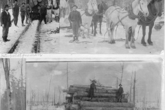 Timber Harvest Trilogy